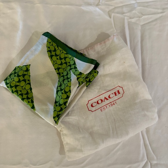 Coach Scarf - Zebra Stripe - Animal Print - Green /White Silk Scarf - Picture 2 of 3